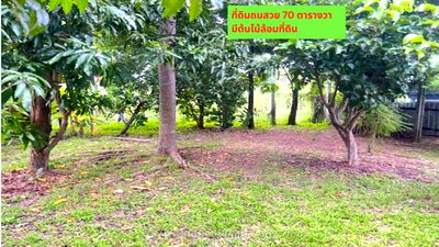 ที่ดิน วิทยาลัยเทคนิคดอนเมือง : ขายที่ดินถมแล้วพร้อมสวนต้นไม้ร่มรื่น 70ตรว. ทำเลดีมาก ในซอยร่มรื่น เงียบสงบ ดอนเมือง ซ.วัดเวฬุวนาราม 9 แยก14 กรุงเทพ