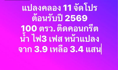 ที่ดิน หนองเสือ ปทุมธานี : ทำเลทอง ท้องมังกร สภาพแวดล้อม สังึมดีเวอร์ เหมาะปลูกบ้านมากๆ