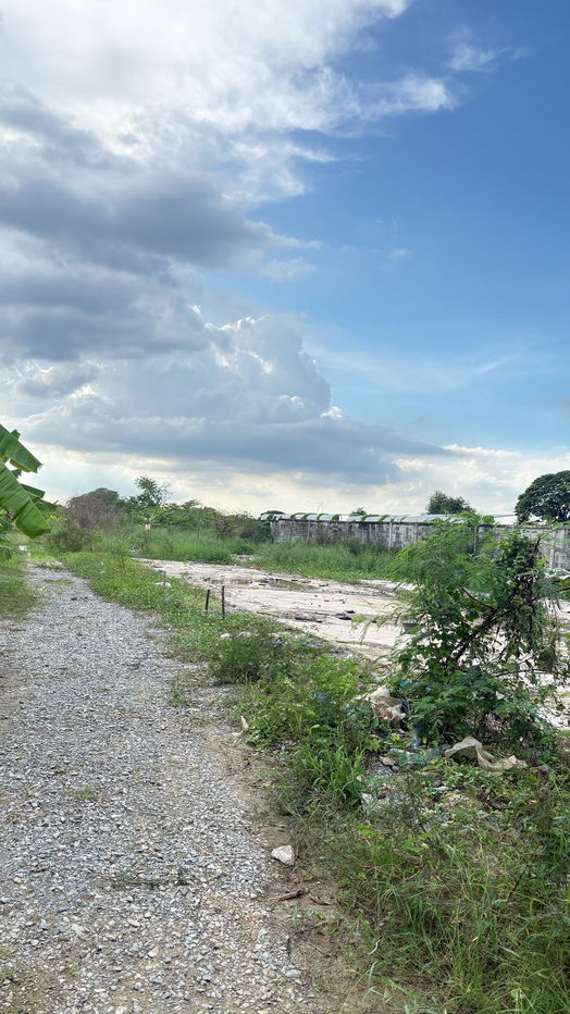 รูป 🔥 ด่วน! ให้เช่า–ขายที่ดินถมแล้ว เขตทวีวัฒนา กรุงเทพฯ ใกล้มหิดล ศาลายา สนามหลวง2 ราคาถูกมาก - รูปที่ 2/10