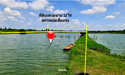 ที่ดิน บ้านโพธิ์ ฉะเชิงเทรา : ขาย ที่ดิน ติดถนนเลียบคลองจางวาง ใกล้แม่น้ำบางปะกง อ.บ้านโพธิ์ แปลงสวย  12 ไร่ ติดโครงการบางปะกงริเวอร์ไซด์ พร้อมโอน  ฟรีค่าโอน ราคายุติธรรม
