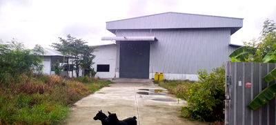 โรงงาน บางบ่อ สมุทรปราการ : โรงงานพร้อมที่ดิน บางนา–ตราด กม. 31