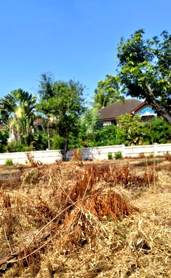 ที่ดิน ม.สยาม : ขายที่ดินเปล่า ม.ภัสรี พุทธมณฑลสาย2 ซอย 5 ถมแล้ว พุทธมณฑลสาย 2 ซอย 5 แขวงบางแคเหนือ เขตบางแค กรุงเทพมหานคร 10160