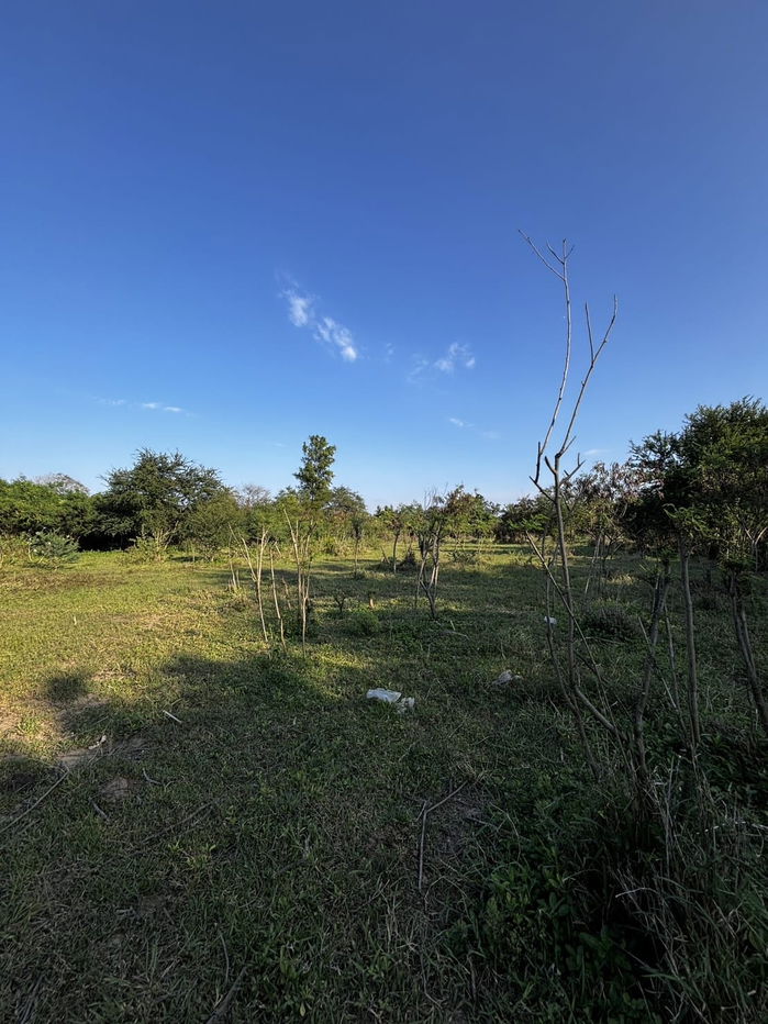 รูป ⭐️ ที่ดินติดถนน ขายด่วน! 7 ไร่ 57 ตรว. อ.บ้านโป่ง ราชบุรี | เจ้าของขายเอง ⭐️ - รูปที่ 20/22