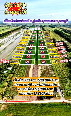 ที่ดิน หนองแค สระบุรี : ี่ดินเงินผ่อน ทำเลดีคลอง13 ต.หนองโรง อ.หนองแค จ.สระบุรี