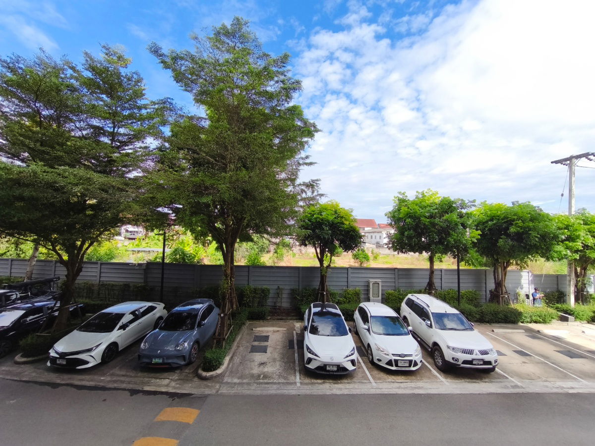 รูป Donndo Ping near Central festival shopping mall  - รูปที่ 10/16