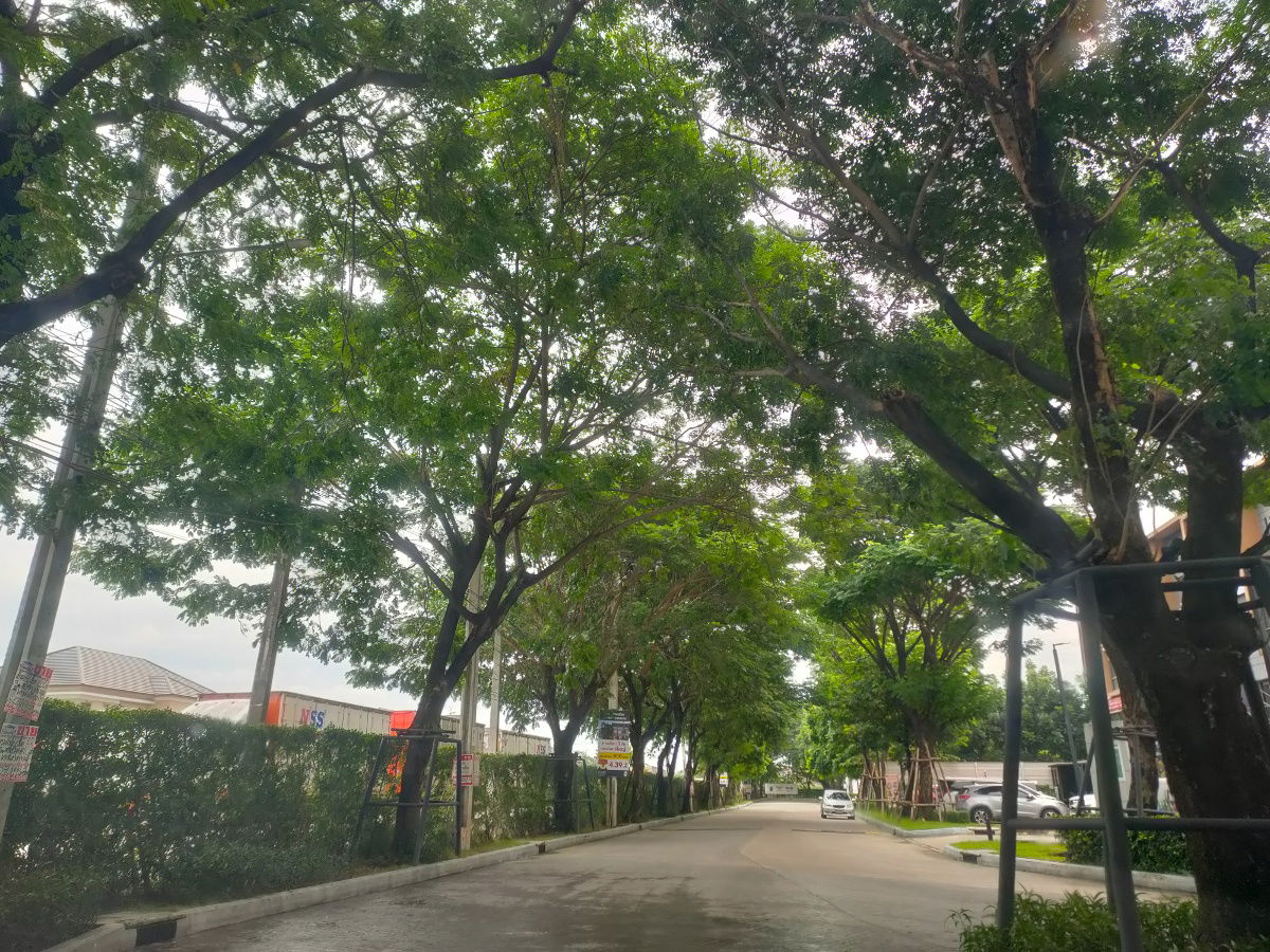 รูป [[ขาย]] บ้านแฝด📌ใกล้Mega บางนา โครงการ บ้านกลางเมือง The Edition บางนา-วงแหวน แต่งสวย 💥 - รูปที่ 25/25