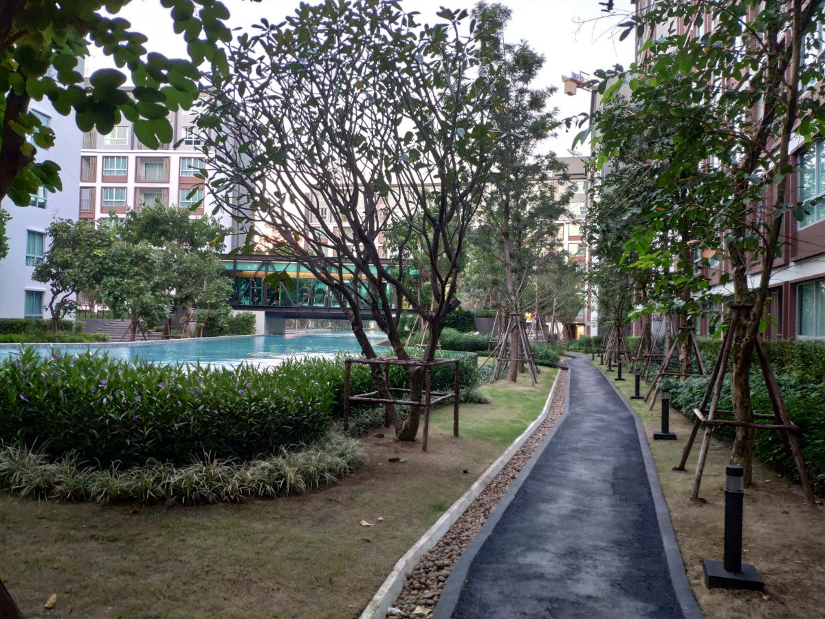 รูป Donndo Ping near Central festival shopping mall  - รูปที่ 15/16