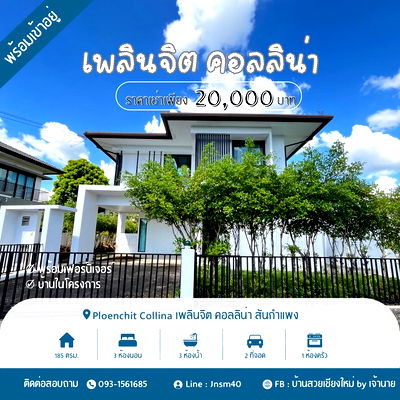 เช่าบ้านเดี่ยว เชียงใหม่ : ปล่อยเช่า เพลินจิต คอลลิน่า ( Ploenchit Collina ) 