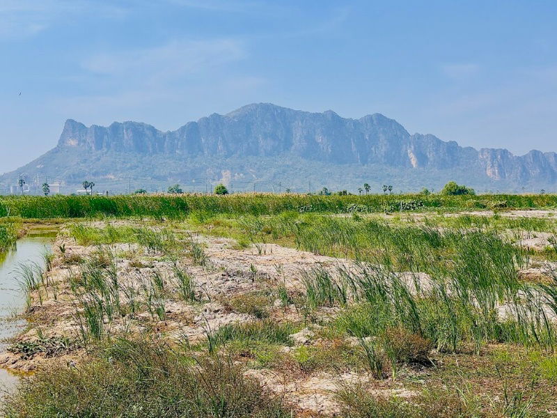 รูป ขายต่ำกว่าราคาประเมิน ที่ดิน วิวภูเขา ใกล้หาดชะอำ เนื้อทึ่ 16-1-84 ไร่ ถนนเพชรเกษม ตำบลชะอำ อำเภอชะอำ จังหวัดเพชรบบุรี - รูปที่ 13/17