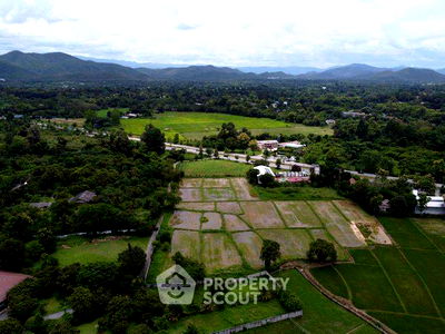 ที่ดิน ดอยสะเก็ด เชียงใหม่ : ที่ดินสำหรับปล่อยขาย 4,288 ตารางเมตร แถว ใน เชิงดอย (ID 2433096)