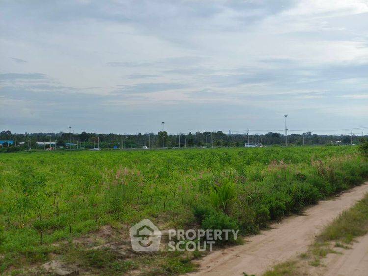 รูป ที่ดินสำหรับปล่อยขาย 8,000 ตารางเมตร แถว ใน ตะเคียนเตี้ย (ID 2432928) - รูปที่ 4/15