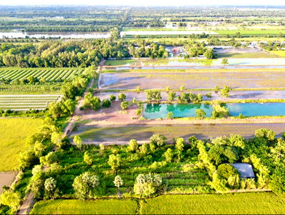 ที่ดิน หนองเสือ ปทุมธานี : ♻️ ขายที่ดินสวย ใกล้วัดป่าคลอง 11  ทำเลดี คลอง 11 อ.หนองเสือ จ.ปทุมธานี