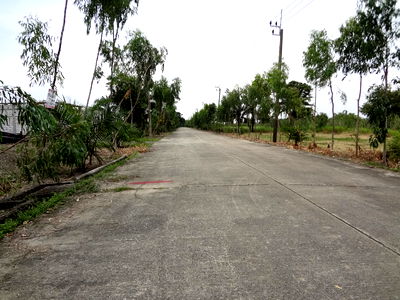 ที่ดิน เขตหนองจอก : ที่ดินซอยสุวินทวงศ์47หนองจอกพื้นที่162ตารางวาถมแล้วลงสิ่งปลูกสร้างได้เลย ใก้ลสวนกีฬาFBT,สนามกอล์ฟซิลเวอร์ เลควิลล์ เข้าซอยเพียง1กม.เหมาะปลูกบ้าน,โกดัง