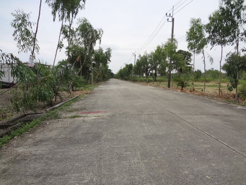 ที่ดินซอยสุวินทวงศ์47หนองจอกพื้นที่162ตารางวาถมแล้วลงสิ่งปลูกสร้างได้เลย ใก้ลสวนกีฬาFBT,สนามกอล์ฟซิลเวอร์ เลควิลล์ เข้าซอยเพียง1กม.เหมาะปลูกบ้าน,โกดัง