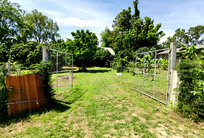 Houses for sale Doi Saket Chiang Mai  : Farm house for sale in Soi Steak Pha Pong, Doi Saket - Chiang Rai road