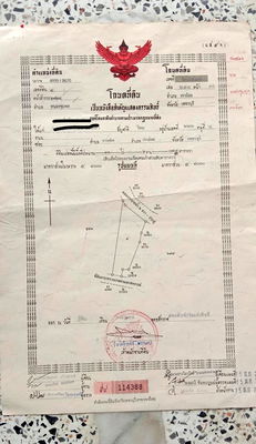ที่ดิน เพชรบุรี : ขายที่ดิน 11 ไร่ เขาย้อย เพชรบุรี