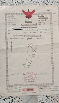ขายที่ดิน 11 ไร่ เขาย้อย เพชรบุรี