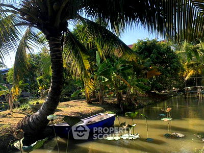 ที่ดิน เขตหนองจอก : ที่ดินสำหรับปล่อยขาย 3,200 ตารางเมตร แถว ใน คลองสิบสอง (ID 2433121)