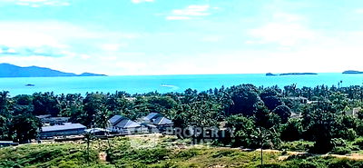 ที่ดิน เกาะสมุย สุราษฎร์ธานี : ที่ดินสำหรับปล่อยขาย 17,600 ตารางเมตร แถว ใน บ่อผุด (ID 2411659)