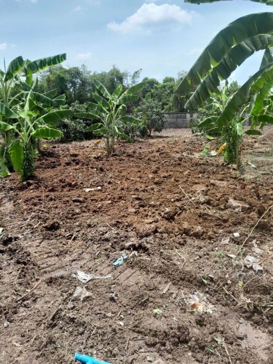 รูป ขายที่ดินแปลงสวย 2 แปลง ถมแล้ว ขนาดเริ่มต้น 151 ตร.ว. ซอยวัดสลักเหนือ ปากเกร็ด ใกล้สถานีรถไฟฟ้าอิมแพค เมืองทองธานี - รูปที่ 4/11