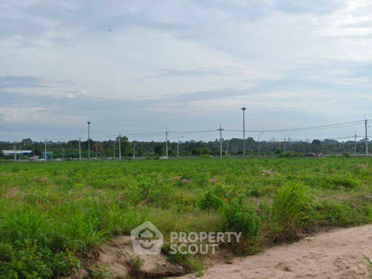 รูป ที่ดินสำหรับปล่อยขาย 8,000 ตารางเมตร แถว ใน ตะเคียนเตี้ย (ID 2432928) - รูปที่ 2/15