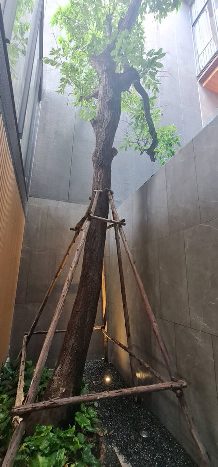 รูป JIA Pool Residence – บ้านหรู 4 ชั้น พร้อมสระว่ายน้ำส่วนตัว เข้าอยู่ได้ทันที - รูปที่ 25/32