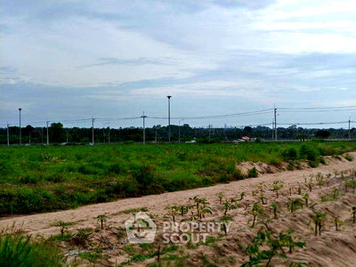 ที่ดิน บางละมุง ชลบุรี : ที่ดินสำหรับปล่อยขาย 8,000 ตารางเมตร แถว ใน ตะเคียนเตี้ย (ID 2432928)