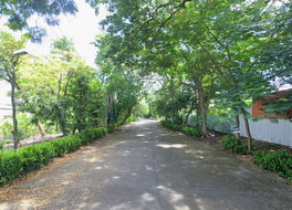 รูป Greenish Chalet - รูปที่ 4/5