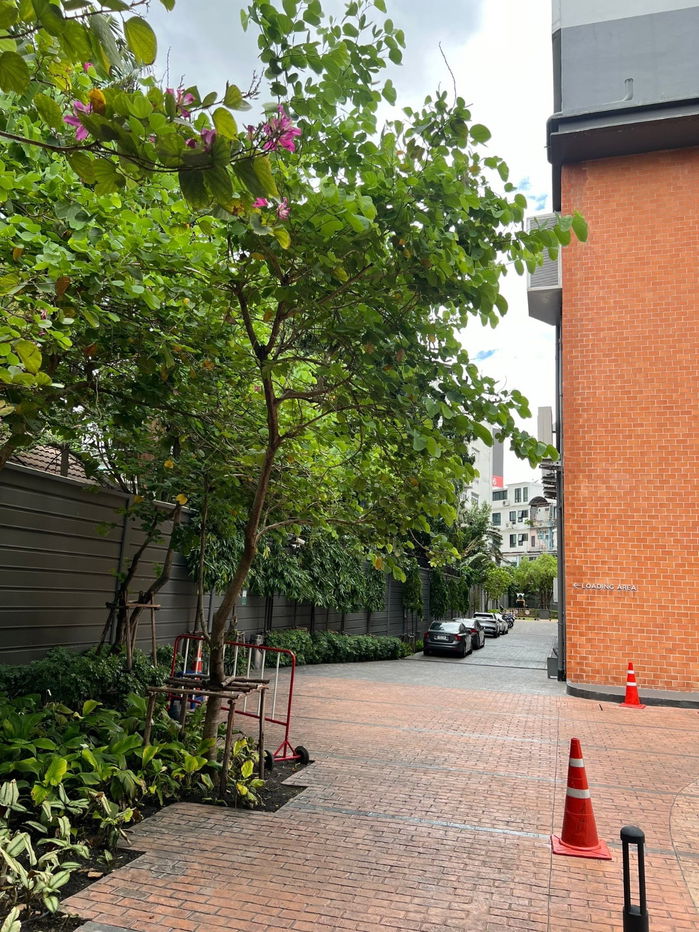 รูป #SC9713 📌 ให้เช่า | 🟦🟨แชปเตอร์ วัน มิดทาวน์ ลาดพร้าว 24🟥🟩💬 𝑪𝒐𝒏𝒕𝒂𝒄𝒕 𝑳𝑰𝑵𝑬: @𝒔𝒆𝒄𝒓𝒆𝒕𝒑𝒓𝒐𝒑𝒆𝒓𝒕𝒚 🔥✨ - รูปที่ 12/16