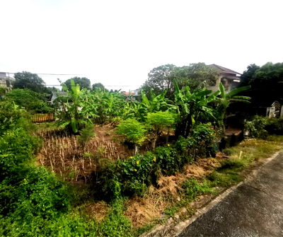 ที่ดิน การประปานครหลวง บางเขน : ที่ดินถมแล้ว 97 ตรว. ทำเลศักยภาพ ใจกลางแจ้งวัฒนะ ใกล้รถไฟฟ้า ศูนย์ราชการ
