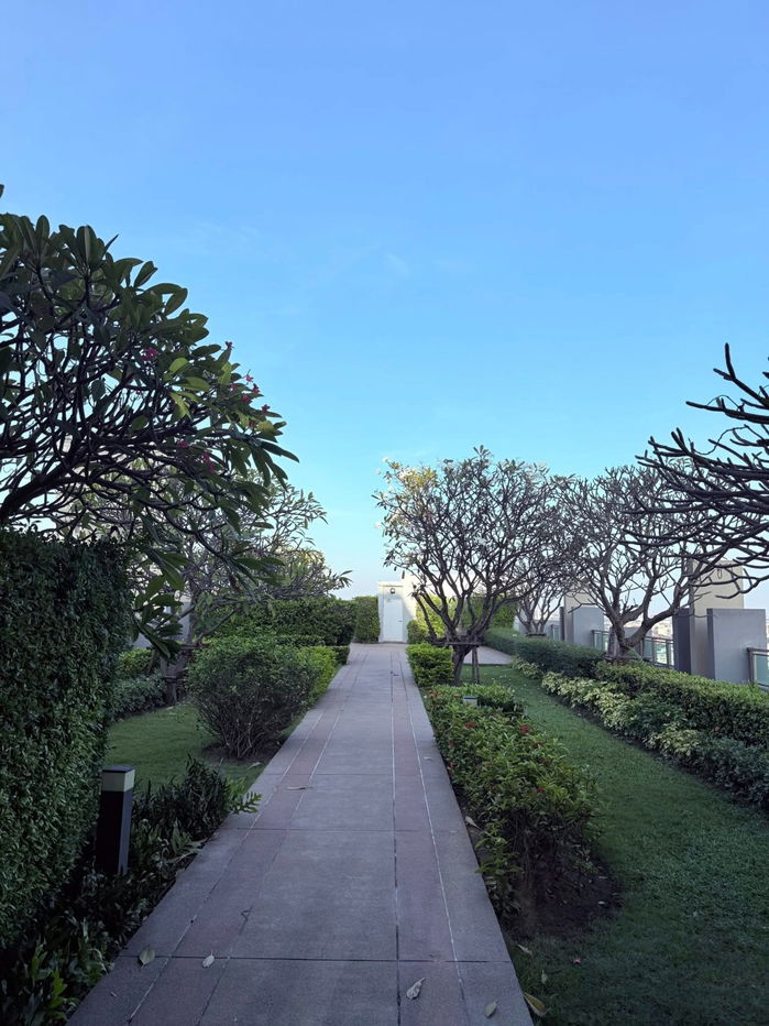 รูป ให้เช่า : ST0319 : คิวเฮาส์ สุขุมวิท 79 Q House Sukhumvit 79 - รูปที่ 12/13