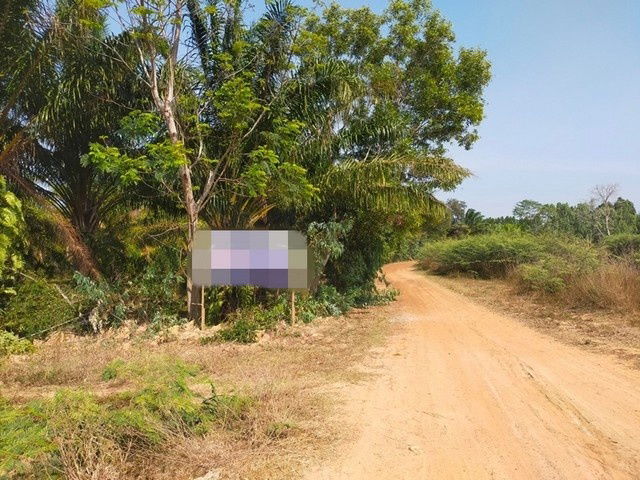 รูป A6-0368 ขายที่ดินว่างเปล่า ตำบลบักได อำเภอเพนมดงรัก สุรินทร์ (โปรโมชั่นจนถึงวันที่ 30 ธันวาคม 2568) - รูปที่ 5/8