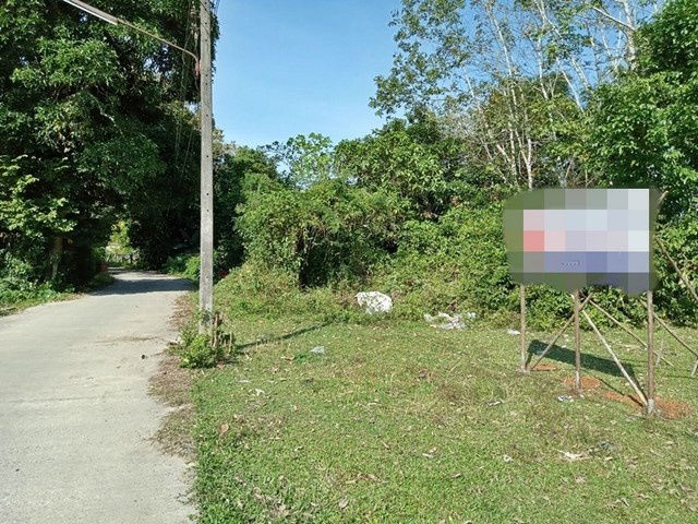 รูป A4-0340 ขายที่ดินว่างเปล่า ตำบลชะมาย อำเภอทุ่งสง นครศรีธรรมราช (โปรโมชั่นจนถึงวันที่ 30 ธันวาคม 2568) - รูปที่ 1/8