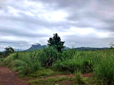 ขายที่ดิน : A4-0121 ขายที่ดินว่างเปล่า ตำบลน้ำสวย อำเภอเมืองเลย เลย(โปรโมชั่นจนถึงวันที่ 30 ธันวาคม 2568)