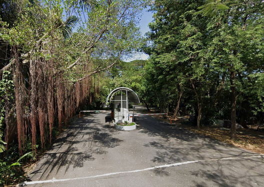 รูป Greenish Chalet   - รูปที่ 3/5