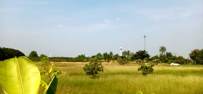 ที่ดิน นิคมสมุทรสาคร : ที่ดินถมแล้ว ไร่ละ 4.5 ล้านบาท ถนนพระราม 2 จำนวน 26 ไร่ 134 ตรว.ตรงข้ามนิคมอุตสาหกรรมสมุทรสาคร