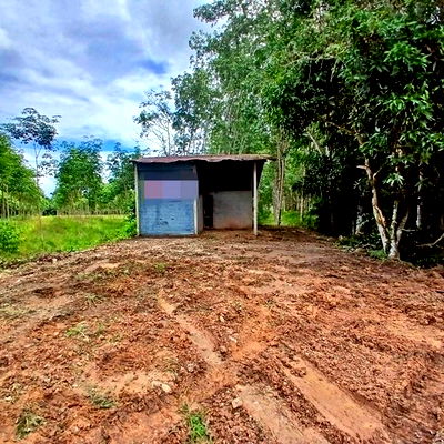 โรงงาน สตูล : A2-0452 ขายโรงงาน ตำบลท่าเรือ อำเภอท่าแพ สตูล (โปรโมชั่นจนถึงวันที่ 30 ธันวาคม 2568)