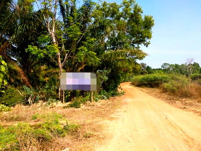 ขายที่ดิน : A6-0368 ขายที่ดินว่างเปล่า ตำบลบักได อำเภอเพนมดงรัก สุรินทร์ (โปรโมชั่นจนถึงวันที่ 30 ธันวาคม 2568)