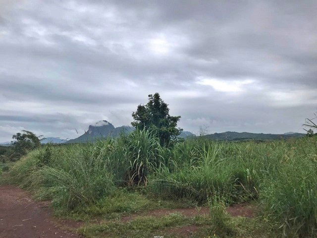 รูป A4-0121 ขายที่ดินว่างเปล่า ตำบลน้ำสวย อำเภอเมืองเลย เลย(โปรโมชั่นจนถึงวันที่ 30 ธันวาคม 2568) - รูปที่ 7/8