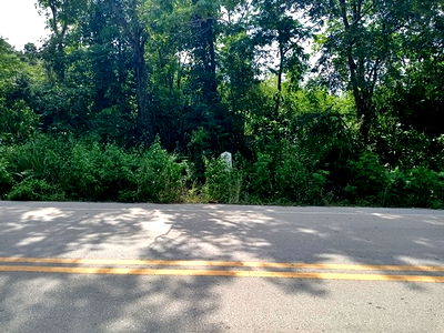 ที่ดิน เลย : A7-0617 ขายที่ดินว่างเปล่า ตำบลผาบิ้ง อำเภอวังสะพุง เลย (โปรโมชั่นจนถึงวันที่ 30 ธันวาคม 2568)