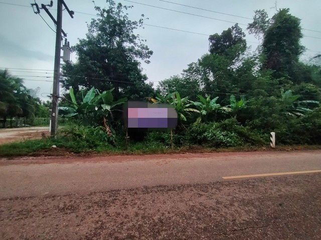 รูป A8-0621 ขายที่ดินว่างเปล่า ตำบลดอนเตย อำเภอนาทม นครพนม (โปรโมชั่นจนถึงวันที่ 30 ธันวาคม 2568) - รูปที่ 1/8