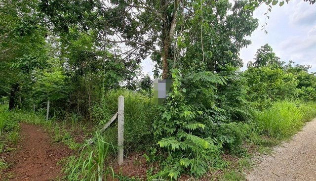 รูป A4-0121 ขายที่ดินว่างเปล่า ตำบลน้ำสวย อำเภอเมืองเลย เลย(โปรโมชั่นจนถึงวันที่ 30 ธันวาคม 2568) - รูปที่ 8/8