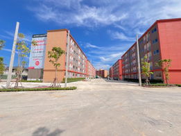 Project Sena Kith Bangna - KM.29 Phase 2 Picture - 5/21