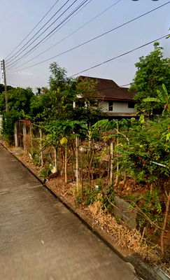 Land for sale Muang Chiang Mai Chiang Mai : Land for sale in Suthep Subdistrict, Mueang Chiang Mai District, area 110 sq m, 2.5 million