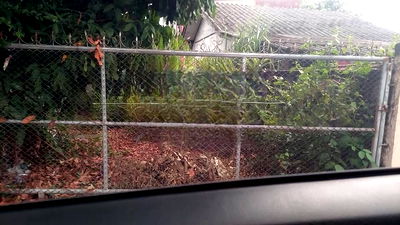 ที่ดิน บ้านข้างวัด : ขายที่ดิน ต.แม่เหียะ. อ.เมืองเชียงใหม่. 51 ตรว 3.8 ล้าน