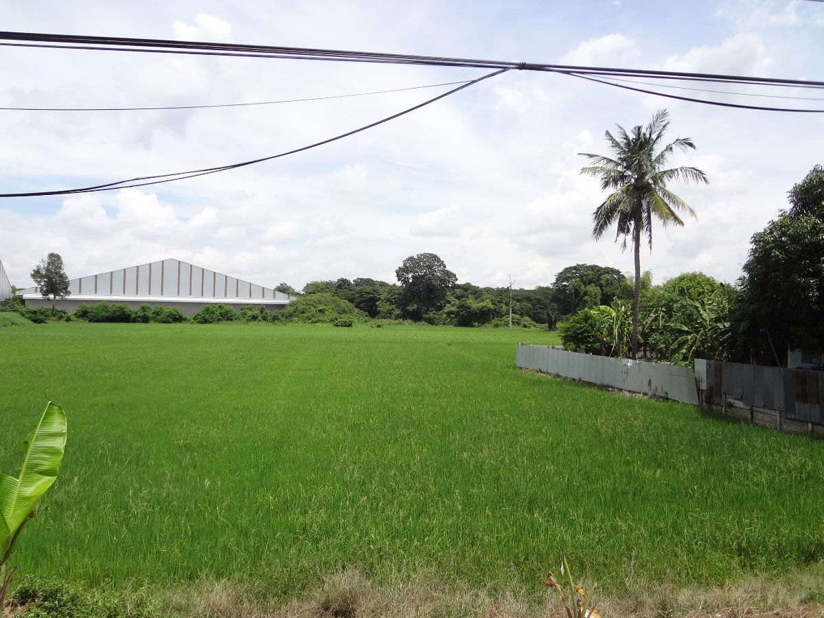 รูป ที่นาสรรคบุรี ชัยนาทติดถนนใหญ่340(สุพรรณบุรีบุรี-ชัยนาท)เนื้อที่6ไร่+ย่านชุมชนใก้ลแม็คโคร,โลตัส ข้างโรงสี เหมาะทำโกดัง,ปั๊มน้ำมัน - รูปที่ 4/9