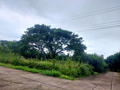 ที่ดิน บ้านข้างวัด : ขายที่ดิน ต.สุเทพ อ.เมืองเชียงใหม่  พื้นที่ 95 ตรว 2.8 ล้าน