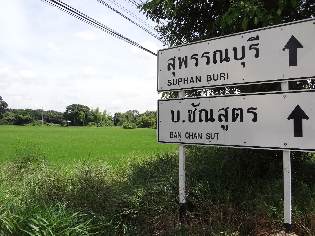 รูป ที่นาสรรคบุรี ชัยนาทติดถนนใหญ่340(สุพรรณบุรีบุรี-ชัยนาท)เนื้อที่6ไร่+ย่านชุมชนใก้ลแม็คโคร,โลตัส ข้างโรงสี เหมาะทำโกดัง,ปั๊มน้ำมัน - รูปที่ 5/9