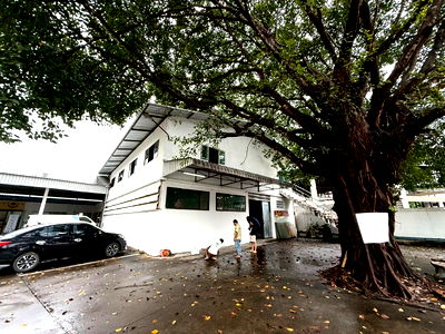 เช่าโรงงาน ม.ฟาร์อีสเทิร์น : ให้เช่าโกดัง Stock สินค้า  มี  1 ห้องนอน    1  ห้องน้ำ  10  ที่จอดรถ