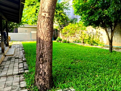 ที่ดิน ไนท์บาซาร์เชียงใหม่ : ขายที่ดินช้างม่อย(เชียงใหม่) พร้อมอาคาร  206 ตรว 22 ล้าน 